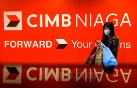 CIMB Niaga (BNGA) Siap Ikut Ramaikan Bursa Karbon, Minat jadi Pembeli