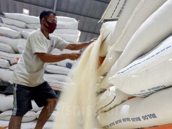 Harga Pangan Hari Ini 15 September, Beras dan Minyak Goreng Kompak Naik