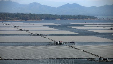 Chandra Asri (TPIA) Targetkan Proyek PLTS 3 MW pada 2023