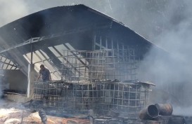 Gudang Penimbunan Minyak Jelantah di Palembang Terbakar