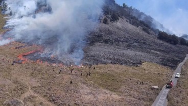 Kebakaran Bromo Berdampak Terhadap 504 Hektare Lahan
