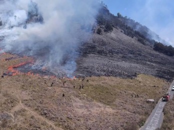 Kebakaran Bromo Berdampak Terhadap 504 Hektare Lahan