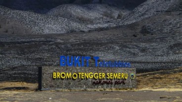 Pembukaan Bromo Paska Kebakaran, Otoritas Gelar Evaluasi