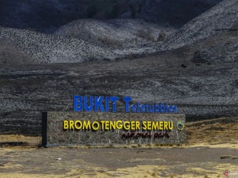 Pembukaan Bromo Paska Kebakaran, Otoritas Gelar Evaluasi