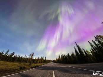 Finlandia  Terbitkan Digital Paspor untuk Warganya, Pertama di Dunia