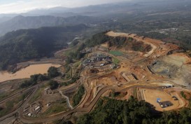 UNTR Milik Astra Kelola Hutan Papua, Antisipasi Defisit Karbon
