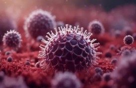 Gejala Virus Nipah dan Cara Mencegah Penularannya