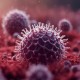 Gejala Virus Nipah dan Cara Mencegah Penularannya
