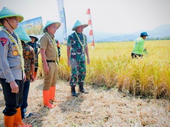 Bey Ingin Replikasi Inovasi Panen Gapoktan di Cicalengka