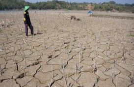Ini Data Terbaru Dampak El Nino yang Makin Meluas di Jawa Barat