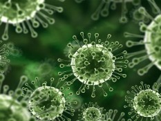 Tips Meningkatkan Kekebalan Tubuh dari Serangan Virus Nipah