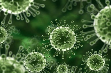 Tips Meningkatkan Kekebalan Tubuh dari Serangan Virus Nipah