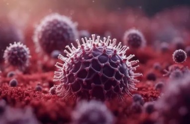 Sejarah Munculnya Virus Nipah, Ternyata Sudah Ada Sejak 1998