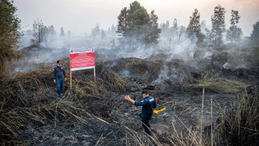 Penyegelan Lahan Yang Terbakar di OKI Sumatra Selatan