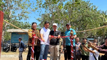 Pengembangan Ekowisata Bale Mangrove Lombok Timur Mulai Dioptimalkan