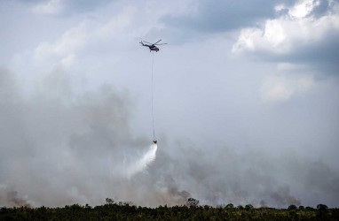 Ramai Media Asing Soroti Bencana Kebakaran Hutan di Indonesia