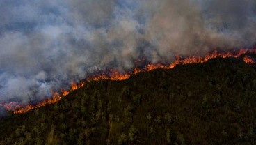 Kebakaran di Kabupaten OKI Mulai Menyentuh Area Kubah Gambut