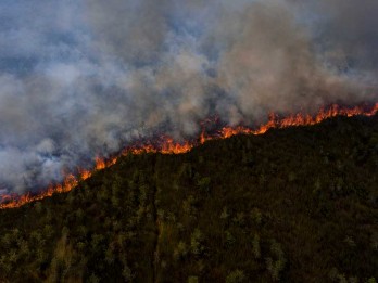 Kebakaran di Kabupaten OKI Mulai Menyentuh Area Kubah Gambut