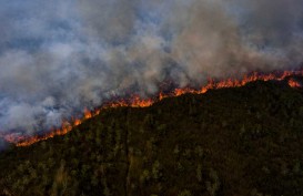 Kebakaran di Kabupaten OKI Mulai Menyentuh Area Kubah Gambut