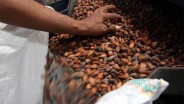 Industri Kakao Nasional Hadapi Tantangan Berat, Ini Upaya Cargill