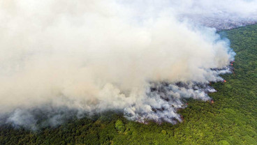 Kebakaran Lahan Gambut di OKI Sumatra Selatan Makin Meluas
