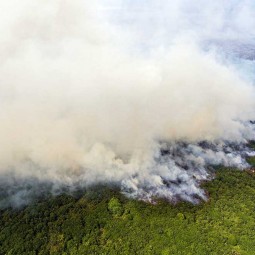 Kebakaran Lahan Gambut di OKI Sumatra Selatan Makin Meluas