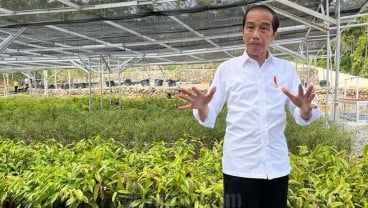 Presiden Jokowi: Persemaian Mentawir Bukti Komitmen Pemerintah ke Lingkungan