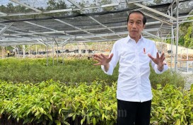 Presiden Jokowi: Persemaian Mentawir Bukti Komitmen Pemerintah ke Lingkungan