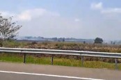 Duh! Kabut Asap Karhutla Kembali Menganggu di Jalan Tol Palembang-Indralaya