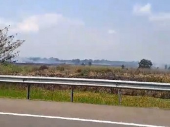 Duh! Kabut Asap Karhutla Kembali Menganggu di Jalan Tol Palembang-Indralaya