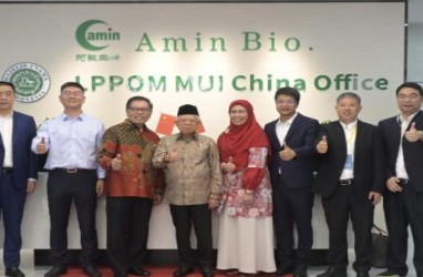 Melihat Hilal Investasi Industri Halal di China