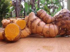 4 Jenis Obat Bahan Alami di Indonesia, Termasuk Jamu dan Herbal