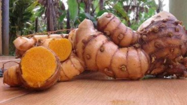 4 Jenis Obat Bahan Alami di Indonesia, Termasuk Jamu dan Herbal