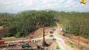 IKN Bakal Punya Kebun Raya hingga Taman Safari, Siapa Investornya?