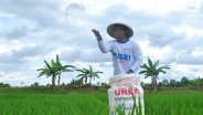 Harga Beras Meroket, Petani Curhat Cuma Bisa Gigit Jari