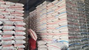 Harga Beras Masih Mahal Meski Ada Bansos dan Operasi Pasar