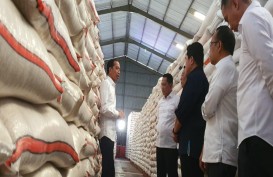HARGA PANGAN : Saatnya Turun Tangan demi Beras Murah