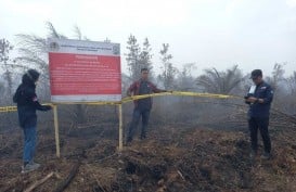 KLHK Segel 6 Lahan Perusahaan yang Terbakar di Sumsel