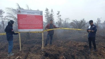 KLHK Segel 6 Lahan Perusahaan yang Terbakar di Sumsel