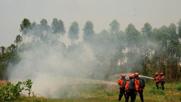 Karhutla di Kalteng Mengkhawatirkan, Kabupaten/Kota Diminta Tingkatkan Kesiapsiagaan