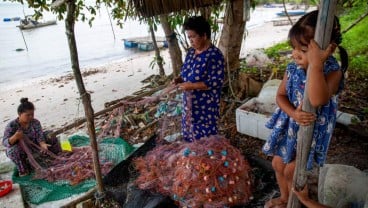 Dua Opsi untuk Warga Pulau Rempang