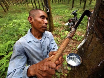 Pabrik Karet di Sumut Bisa Ditutup Bila Pasokan Semakin Terbatas