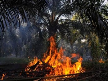 Asap Karhutla Mengancam Kesehatan Masyarakat Kalimantan Tengah
