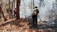 Taman Nasional Baluran Situbondo Ditutup Akibat Kebakaran Lahan