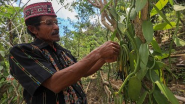 Mengangkat Derajat Petani Loha dengan Vanili