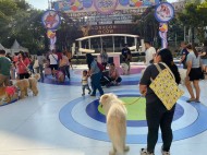Ulang Tahun ke-65, Hush Puppies Ajak Pecinta Anabul Saling Berbagi