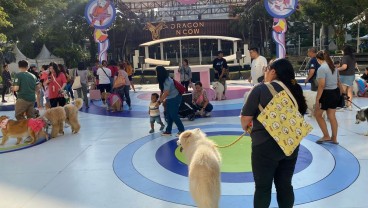 Ulang Tahun ke-65, Hush Puppies Ajak Pecinta Anabul Saling Berbagi