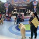 Ulang Tahun ke-65, Hush Puppies Ajak Pecinta Anabul Saling Berbagi