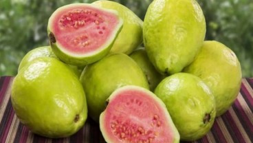 6 Buah dengan Protein Tinggi, Bagus Dikonsumsi Saat Diet