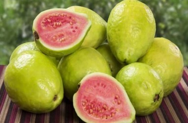 6 Buah dengan Protein Tinggi, Bagus Dikonsumsi Saat Diet